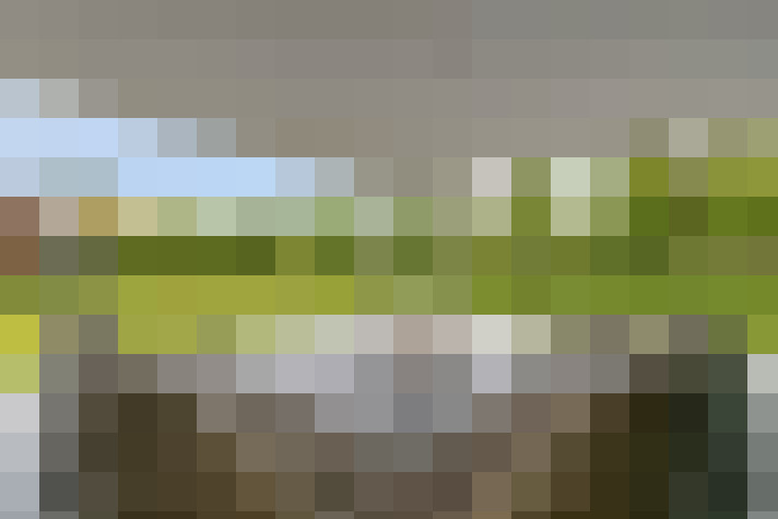  / #54