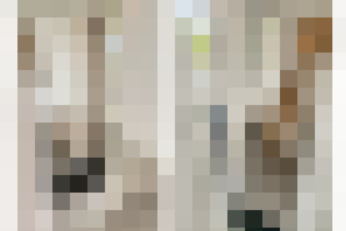  / #19