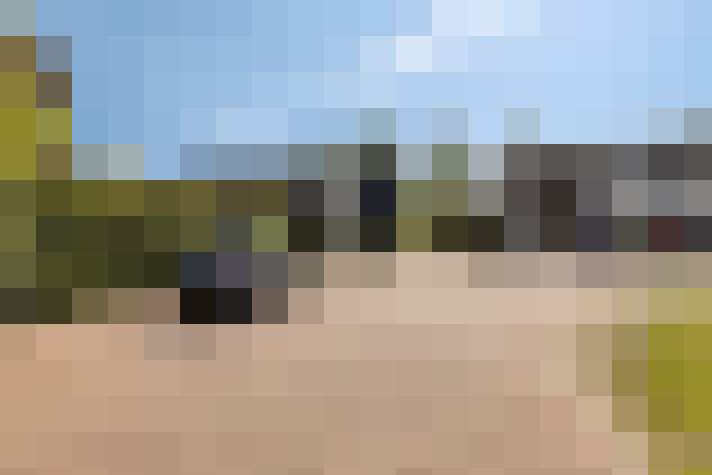  / #51
