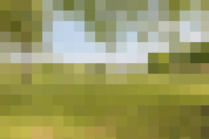  / #53
