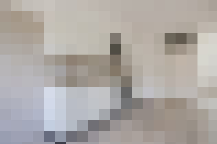  / #20