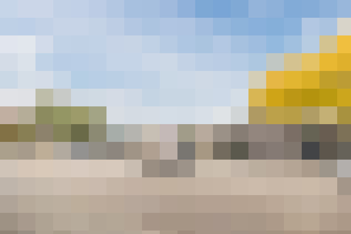  / #51