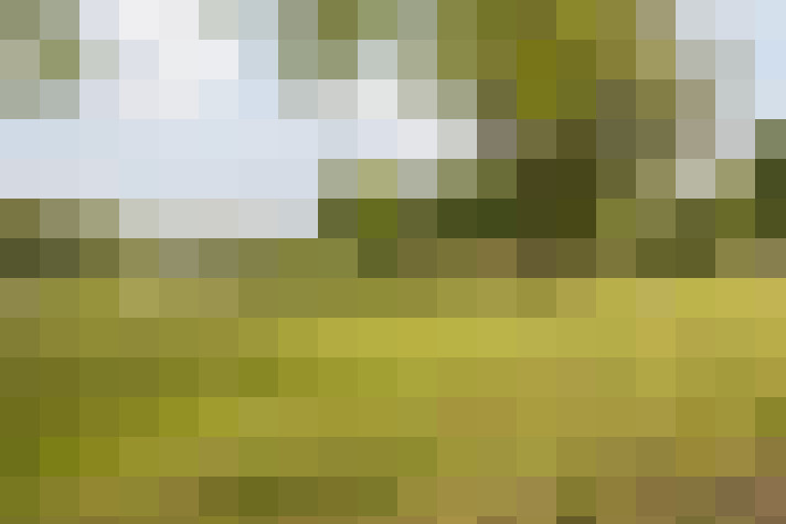  / #55
