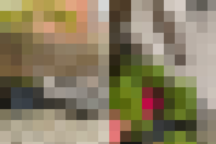  / #24