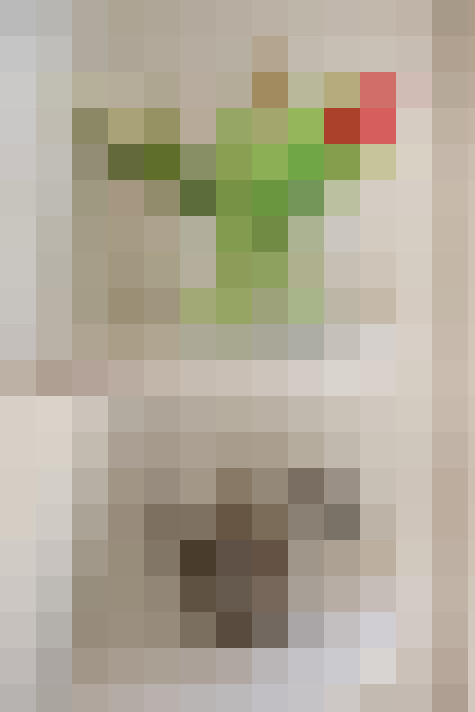  / #24