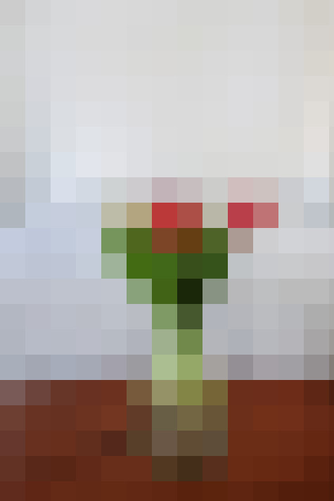  / #32