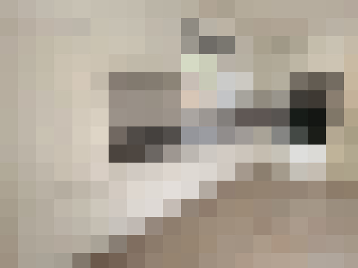  / #8