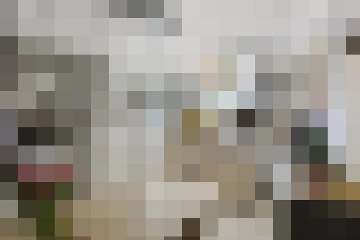  / #17