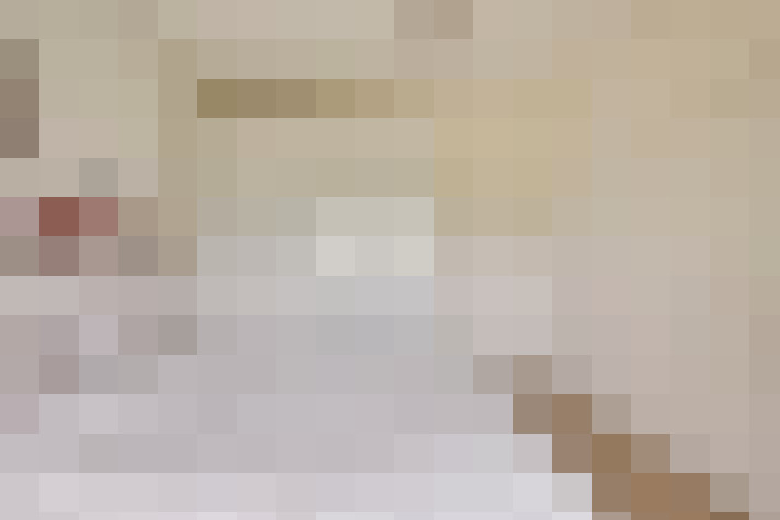  / #18