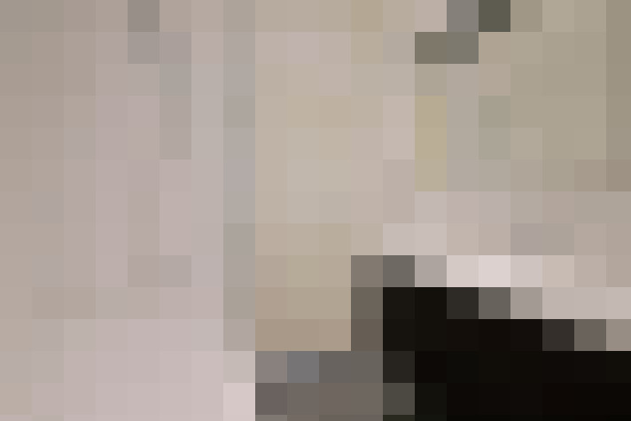  / #24