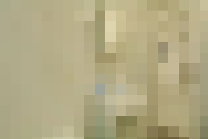  / #15