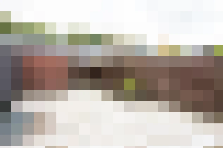  / #16