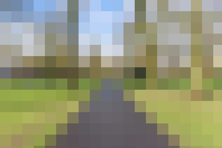  / #14