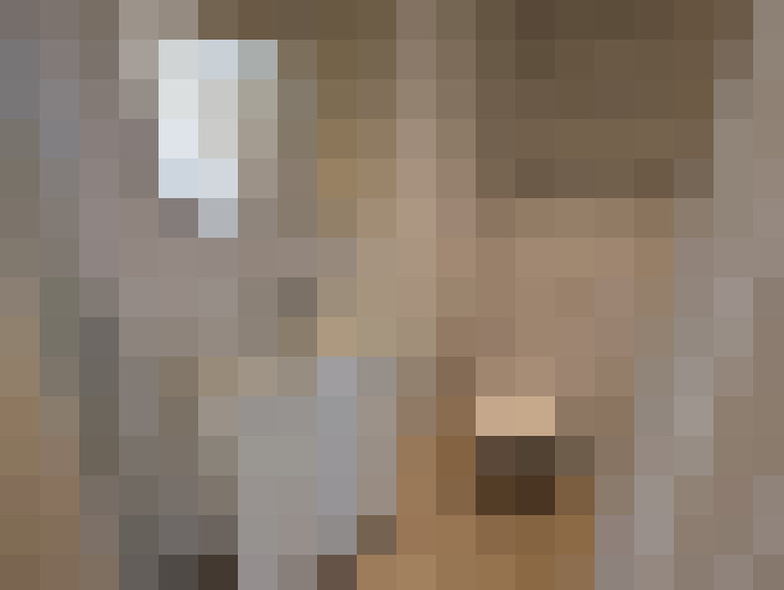  / #15
