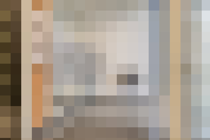  / #24