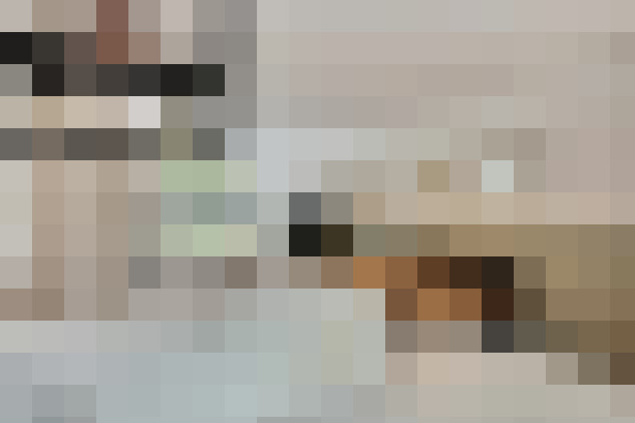  / #16