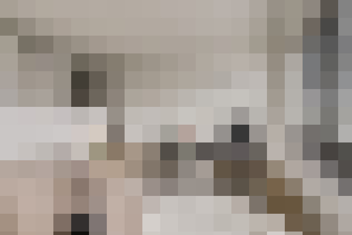  / #22