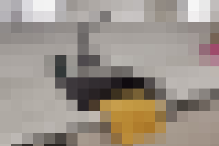  / #11