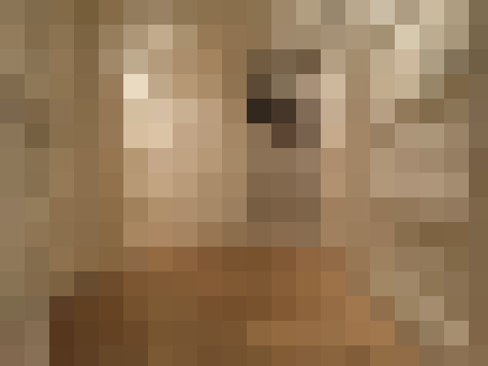  / #11