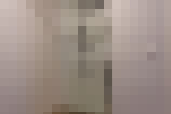 / #29