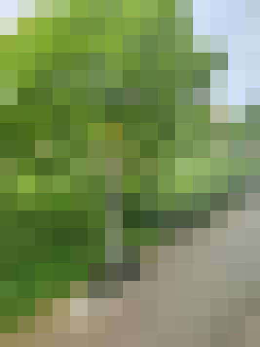  / #15