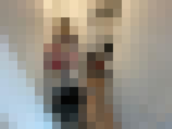  / #19