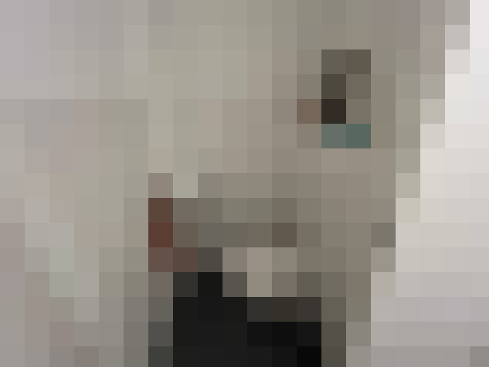  / #16