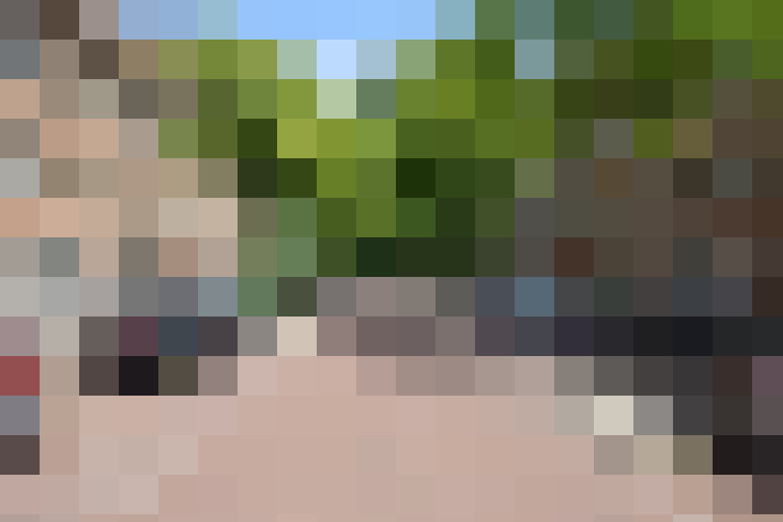  / #15