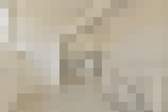  / #21