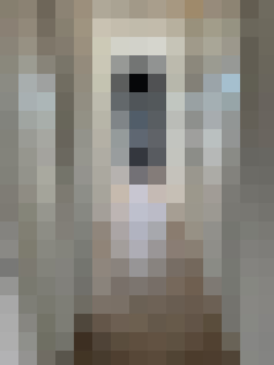 / #21