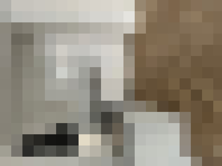  / #22