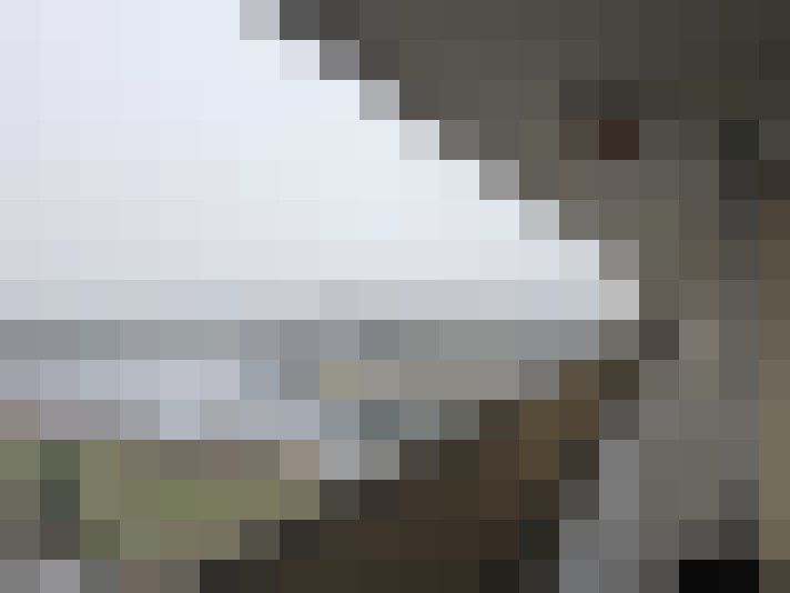  / #14