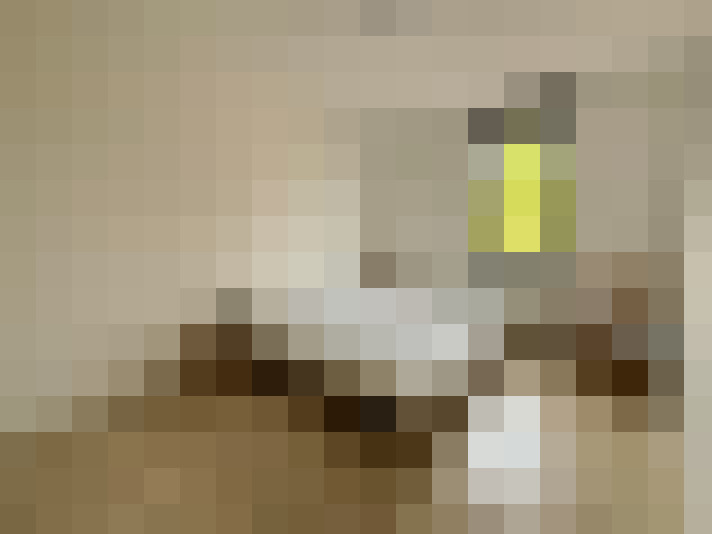  / #6
