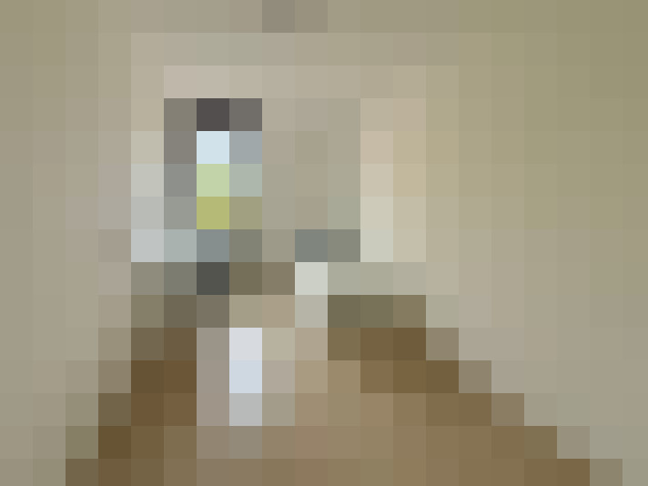  / #8