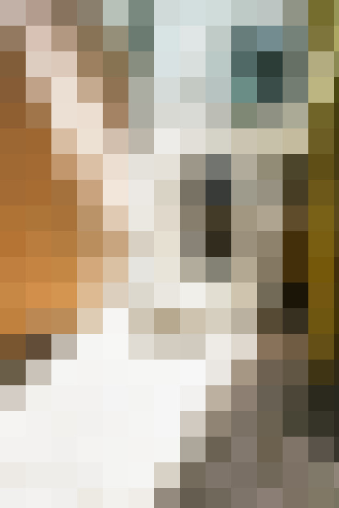  / #16