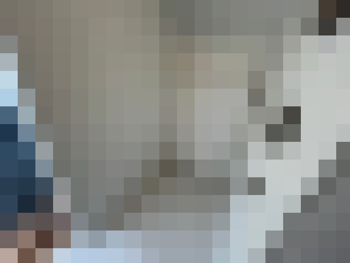  / #77