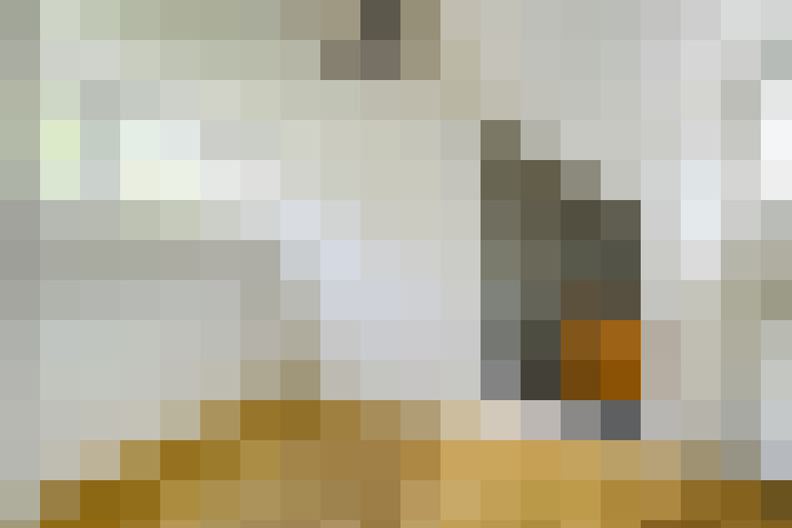  / #20