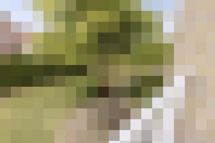  / #17