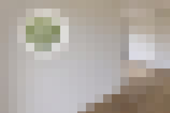  / #11