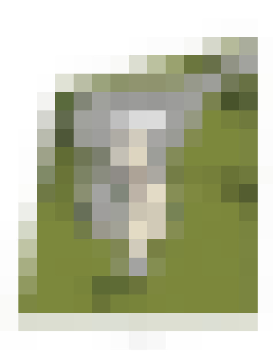  / #36