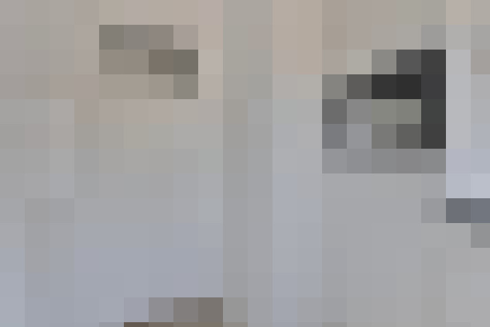 / #11