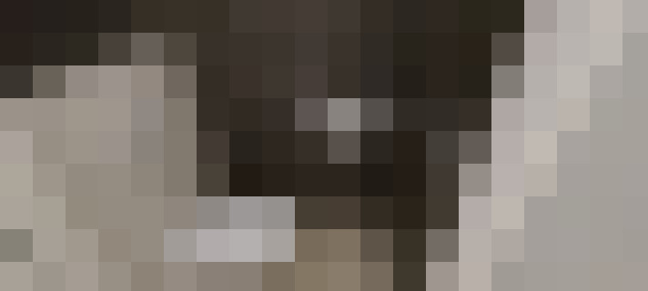  / #15