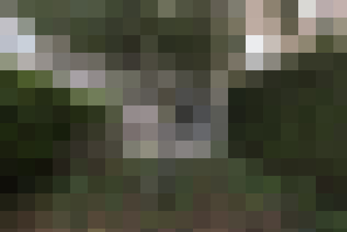  / #12