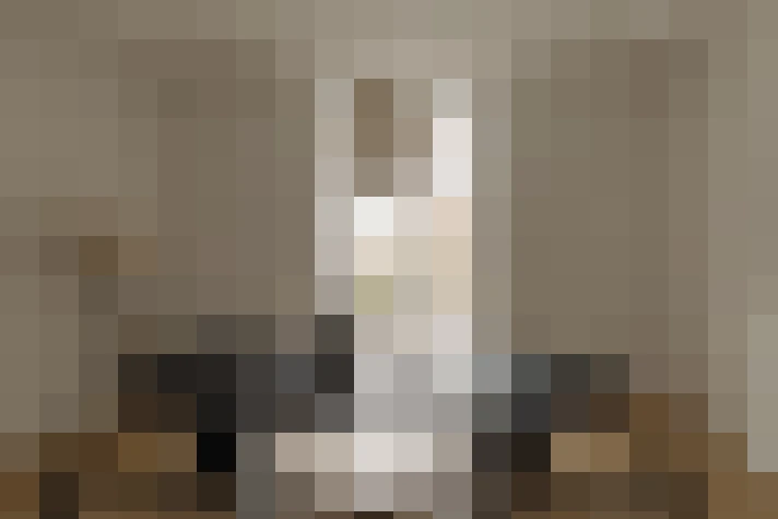  / #17