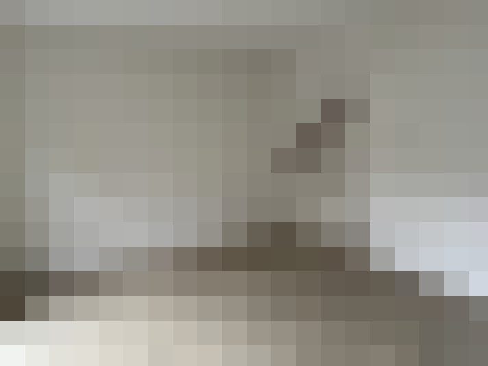  / #19