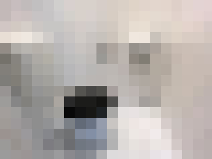  / #16