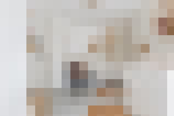  / #33