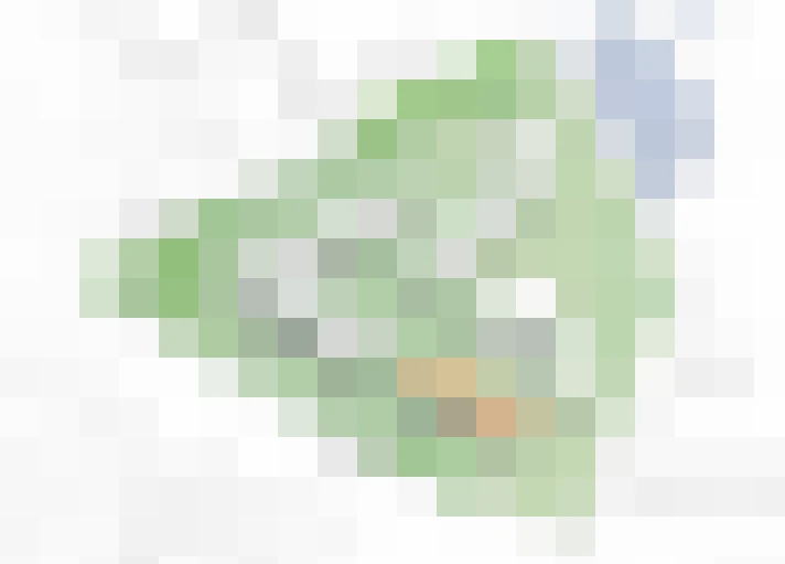  / #17