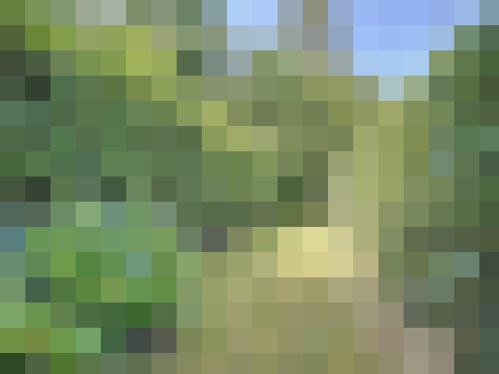  / #17