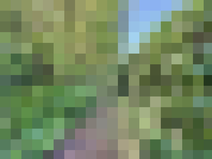  / #18